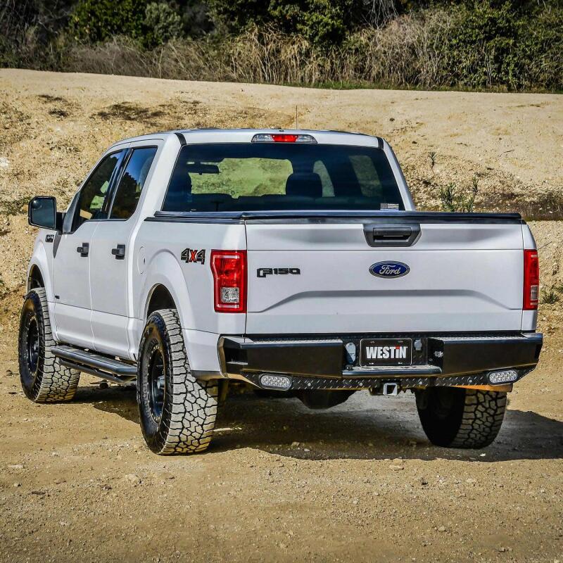 Westin 15-20 Ford F-150 HDX Bandit Rear Bumper - Black - 58-341105