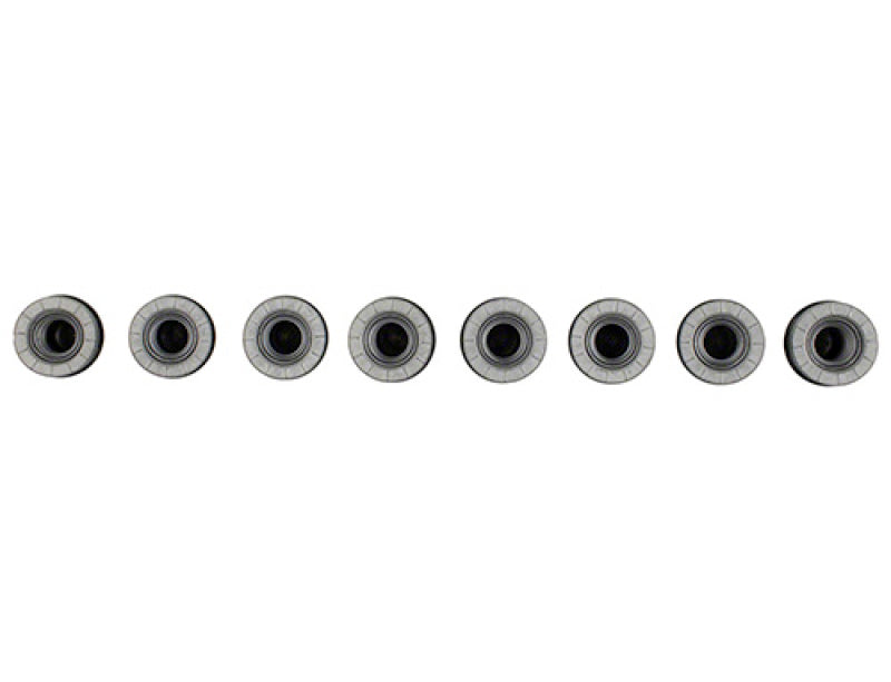 Ford Racing M14 x 1.5 Black Lug Nut - Set - M-1012-SB