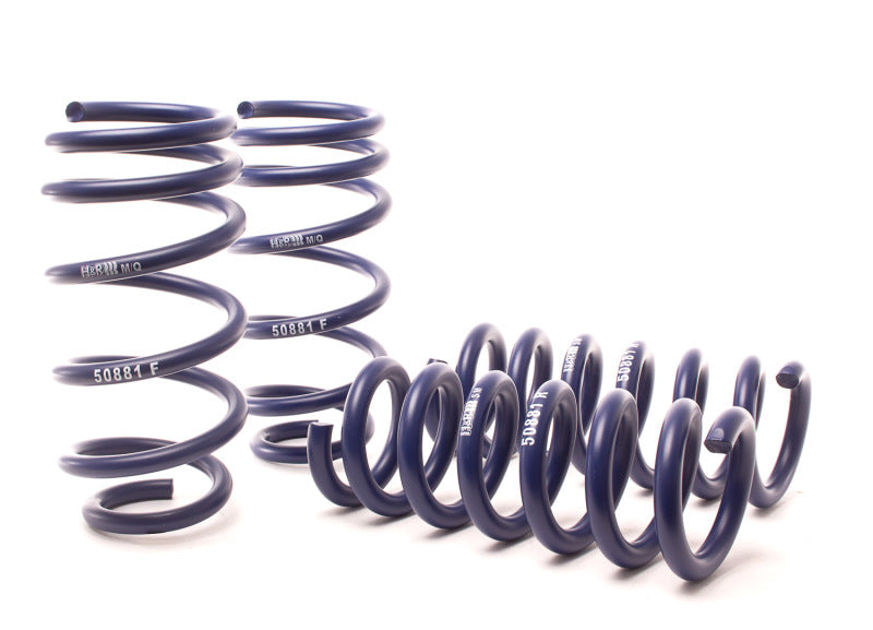 H&R 11-21 Dodge Charger SE/SXT/SXT Plus (2WD/4WD) Rallye/Plus/V6 Sport Spring - 50881-6