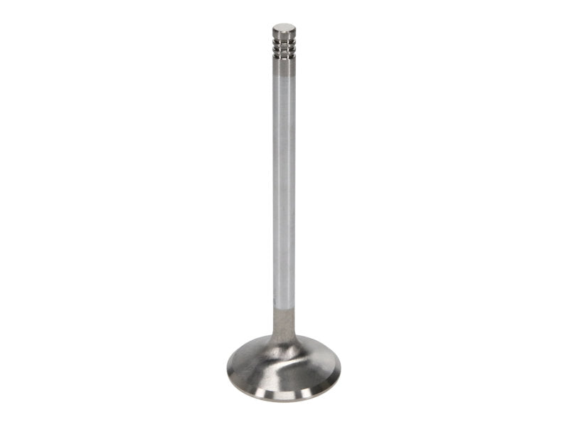 Manley Ford 6.2L Race Master Intake Valves 43mm HD B - 11613B-8