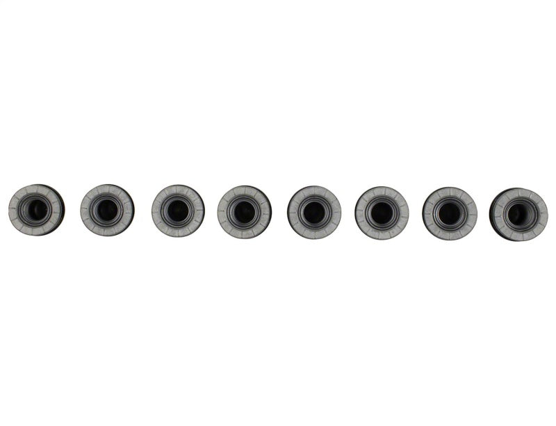 Ford Racing M14 x 1.5 Black Lug Nut - Set - M-1012-SB