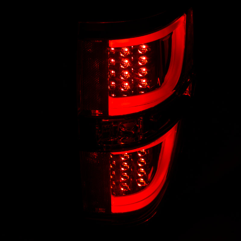 ANZO 2009-2013 Ford F-150 LED Taillights Red/Clear - 311260
