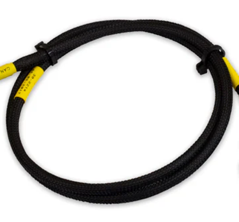 AEM CD-7/CD-7L Plug and Play Adapter Harness for Holley EFI - 30-2214