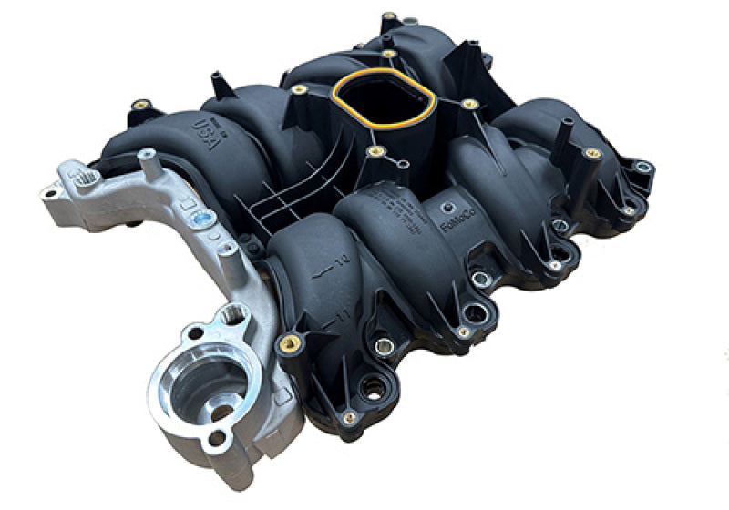 Ford Racing 01-04 Mustang GT 4.6L SOHC 2V Perf Improvement - M-9424-P46A