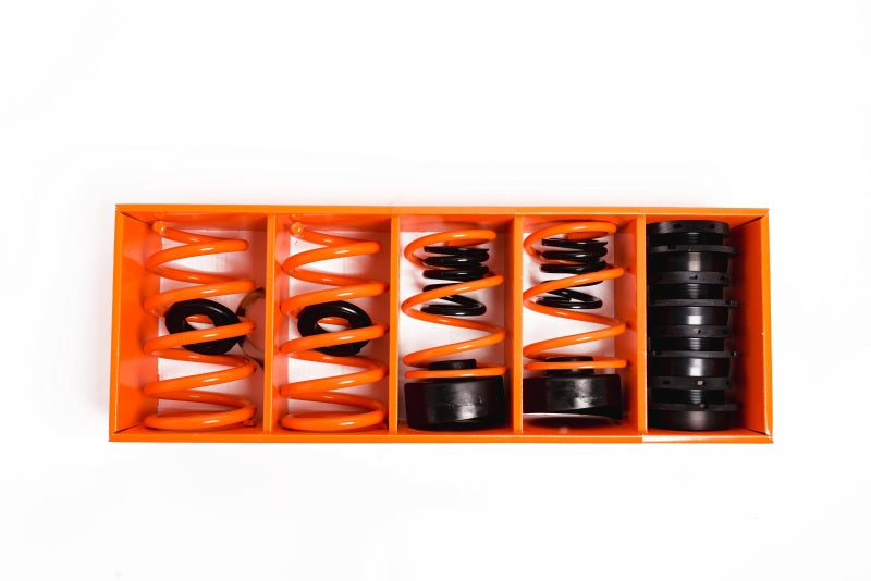 MSS 17-21 Tesla Model 3 Sports Full Adjustable Kit - 02ATESM3