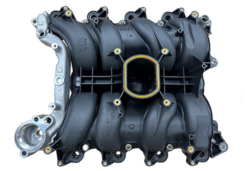 Ford Racing 01-04 Mustang GT 4.6L SOHC 2V Perf Improvement - M-9424-P46A