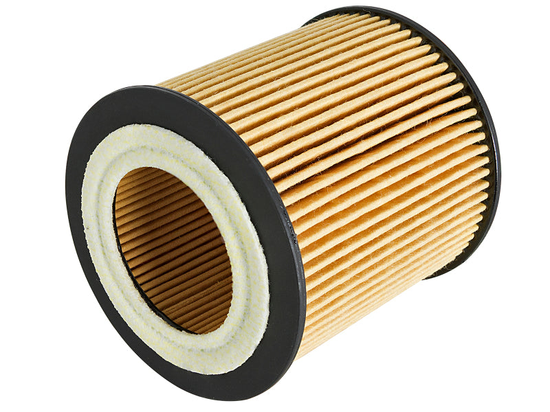 aFe Pro GUARD D2 Oil Filter 06-19 BMW Gas Cars - 44-LF029