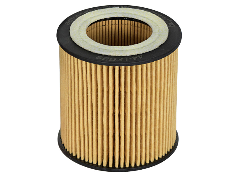 aFe Pro GUARD D2 Oil Filter 06-19 BMW Gas Cars - 44-LF029