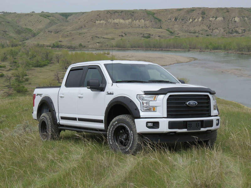 EGR 15+ Ford F150 Superguard Hood Shield - Matte (303475) - 303475