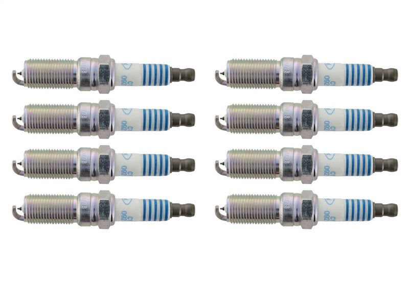 Ford Racing 11-21 Mustang GT 5.0L Cold Spark Plug Set - M-12405-M50A