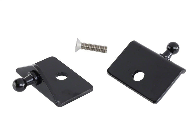 Ford Racing 05-14 Mustang Hood Lift Kit w/ Laser Engraved - M-16826-M