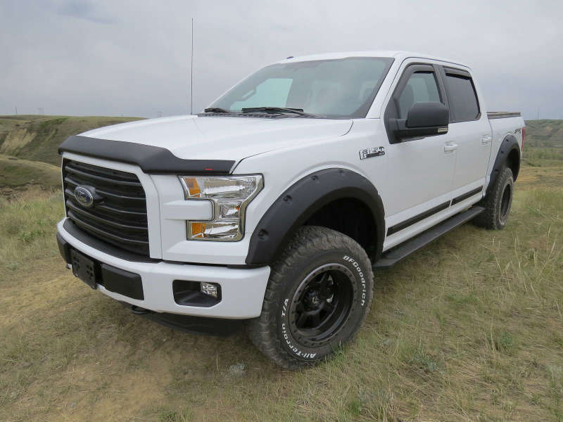 EGR 15+ Ford F150 Superguard Hood Shield - Matte (303475) - 303475