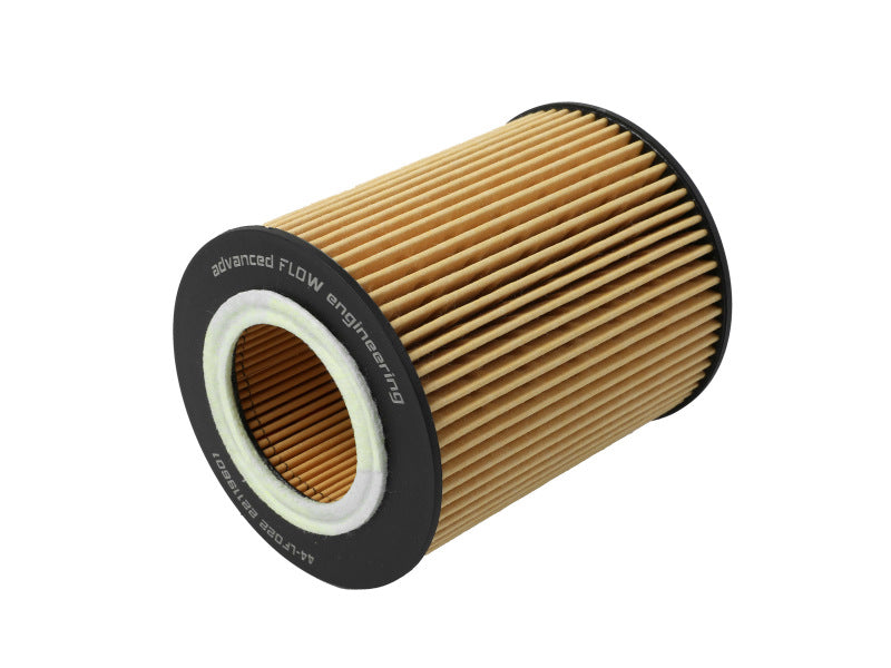 aFe Pro GUARD D2 Oil Filter 96-06 BMW Gas Cars - 44-LF022-MB