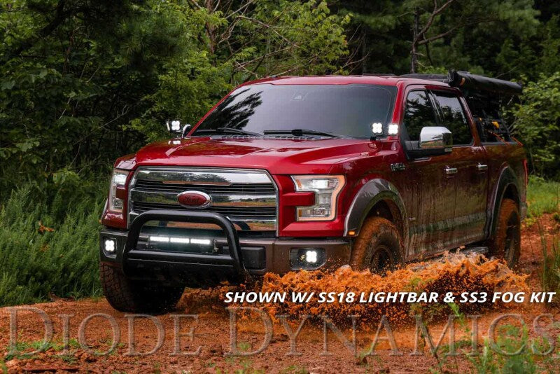 Diode Dynamics 15-20 Ford F-150/Raptor Sport SS3 LED Ditch Light - DD6568