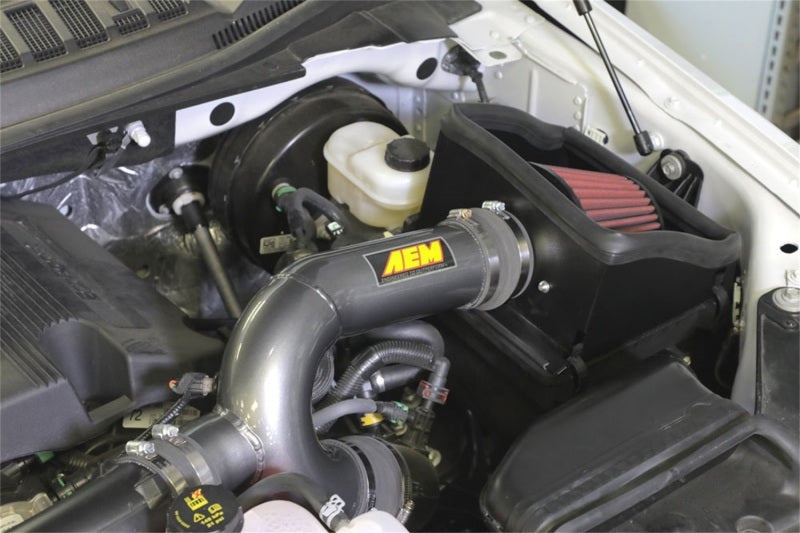 AEM 17-18 Ford F-150 3.5L V6 F/I Gunmetal Gray Cold - 21-8130DC