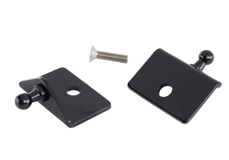Ford Racing 05-14 Mustang Hood Lift Kit w/ Laser Engraved - M-16826-M