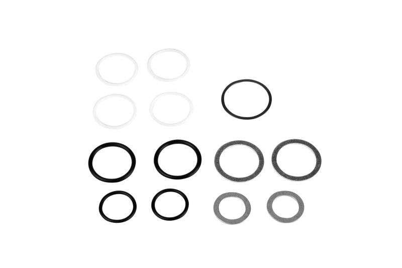 Aeromotive Rebuild Kit - Fuel Log (14201/14202) - 14001
