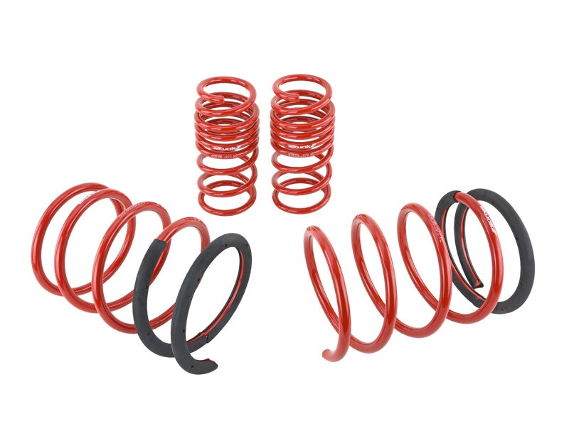 Skunk2 05-06 Acura RSX Lowering Springs (2.25in - 2.00in.) (Set - 519-05-1672