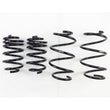 RS-R 11+ Nissan Juke 2WD (F15) Down Sus Springs - N311D.