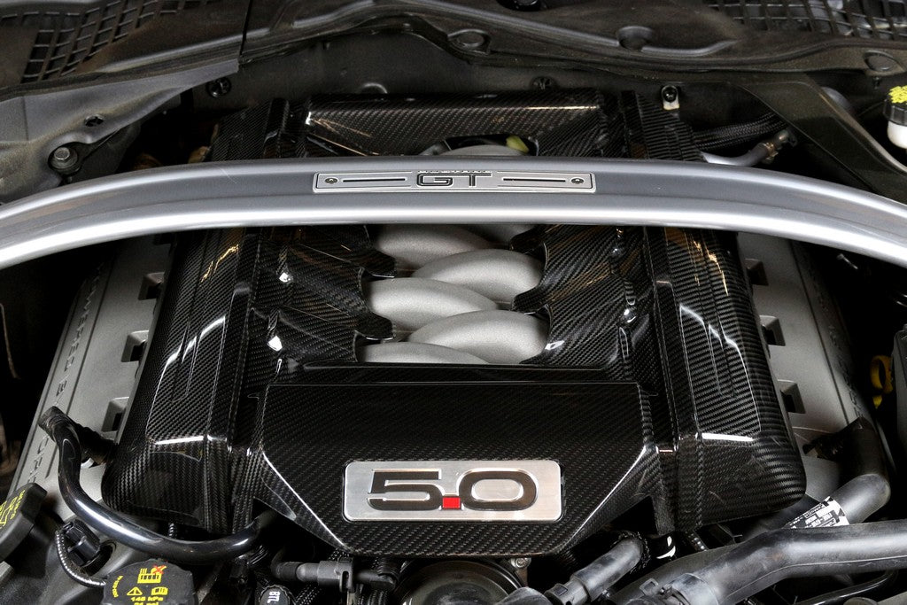 APR Performance Carbon Fiber Engine Cover 5.0 - CBE-MUGENG15.