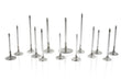 Ferrea Honda D16Z6/Y5/Y7/Y8 26mm 5.46mm 115.95mm 22 Deg Flo Stk - F1821P-1.