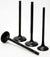 GSC P-D Honda K Series Vtec K20/K24 Chrome Polished Exhaust - 2041-8.