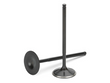 Supertech Honda B16A/B18C Black Nitride Exhaust Valve - Set of - HEVN-1000-8.