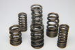 Ferrea Hyundai BK Turbo Dual Valve Spring - Single - S10118-1.