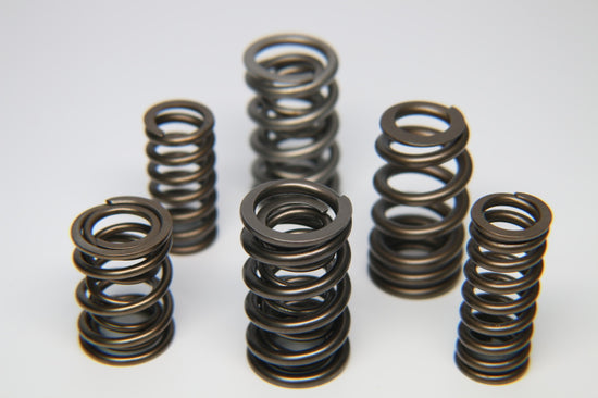Ferrea Hyundai BK Turbo Dual Valve Spring - Single - S10118-1.