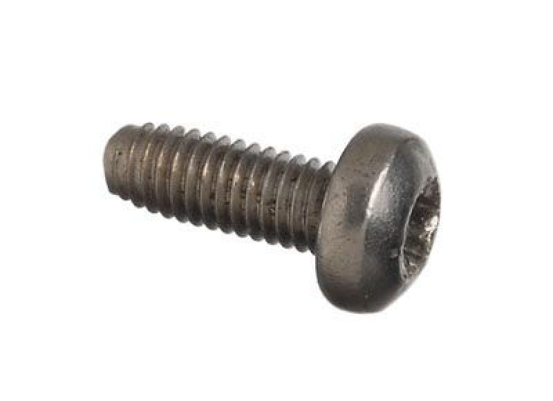Schrader Replacement T-10 Screws - 25 Pack - 20895.