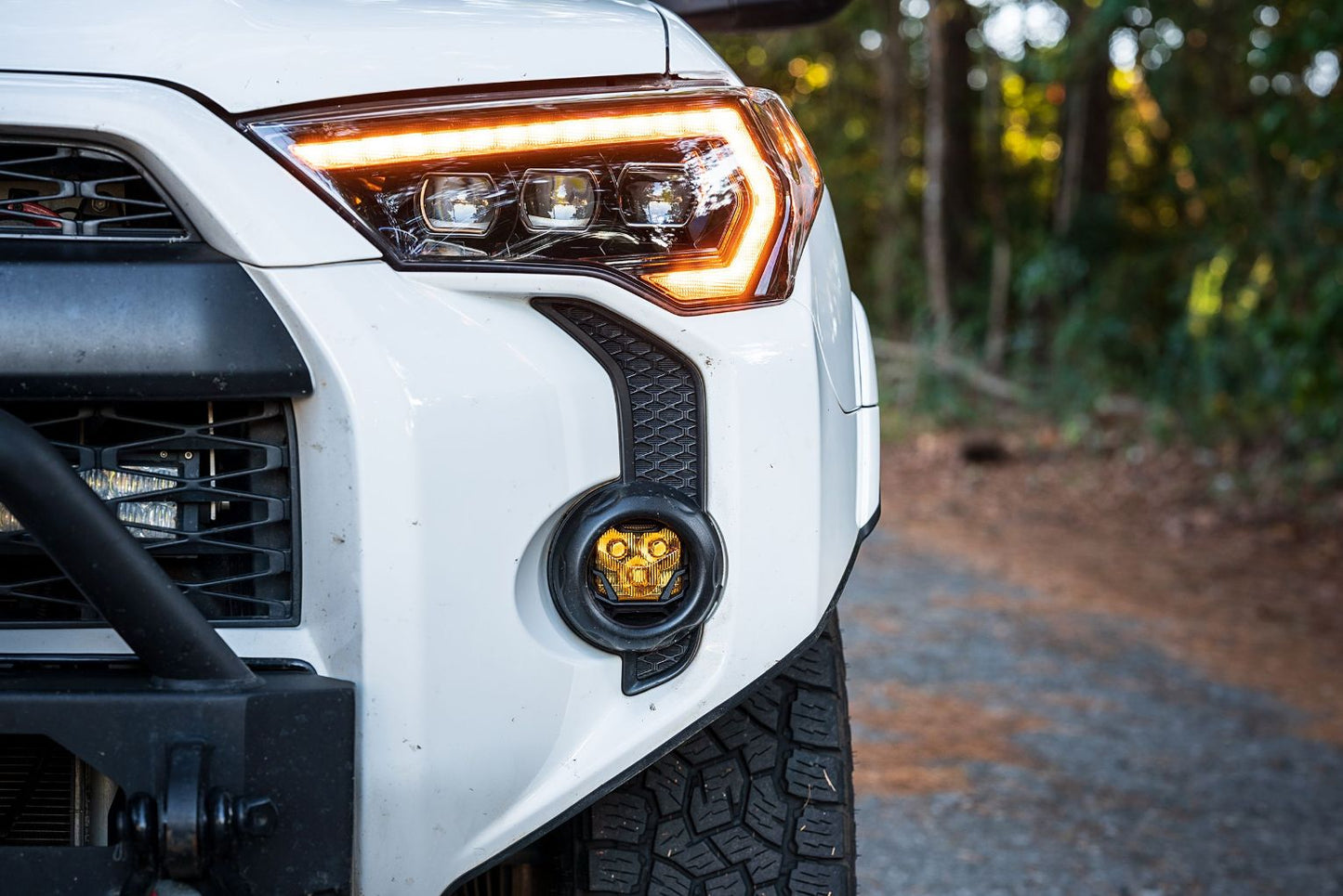 Morimoto 4Banger Fog Light Kit: Type T - 4B-FOG-T-1000