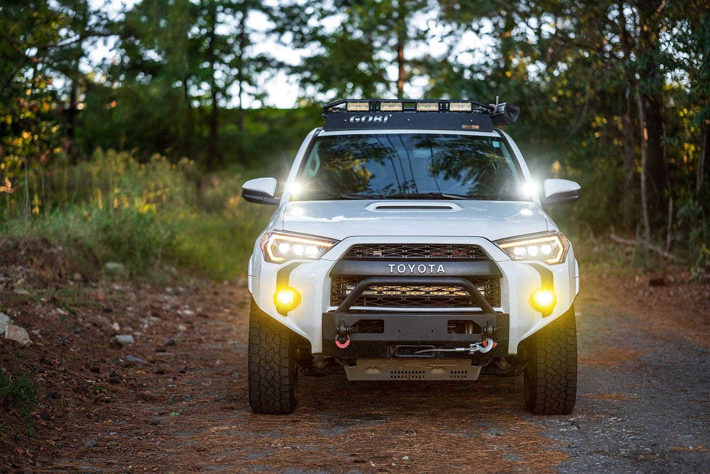 Morimoto 4Banger Fog Light Kit: Type T - 4B-FOG-T-1000