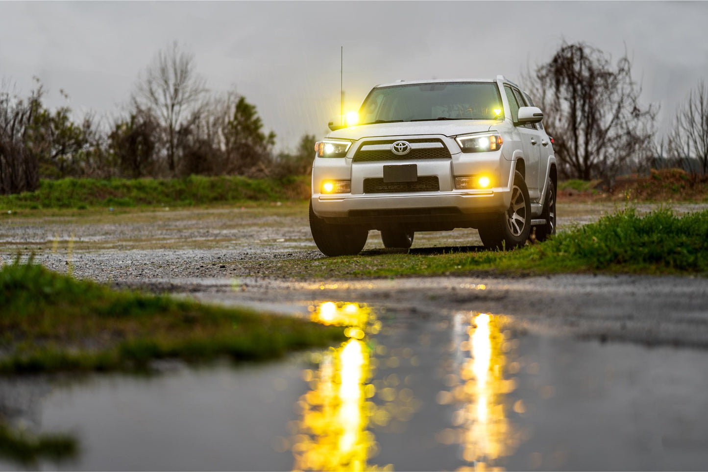 Morimoto 4Banger Fog Light Kit: 10-13 4Runner - 4B-FOG-T-1012