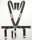 RaceQuip Black SFI CAMLOCK 5pt PD Lap Seat Belt - 741001.