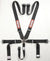 RaceQuip Black SFI CAMLOCK 5pt PD Lap Seat Belt - 741001.