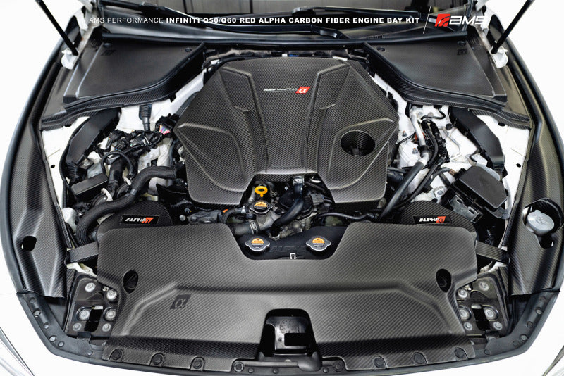 AMS Performance Infiniti 17+ Q60 / 16+ Q50 3.0TT Alpha - ALP.28.06.0002-1