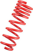 Tanabe DF210 Springs 10-10 Prius - TDF153.