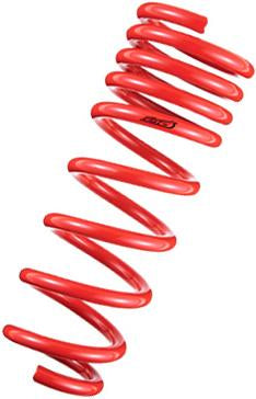 Tanabe DF210 Springs 10-10 Prius - TDF153.