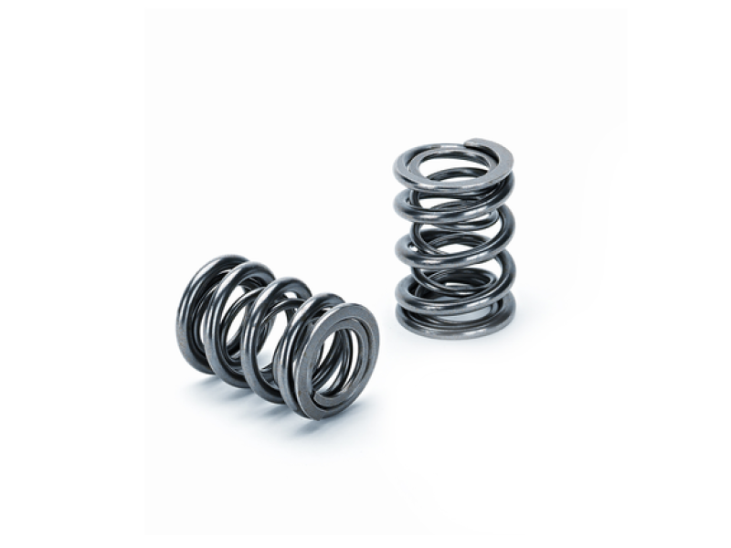 Supertech Honda H22A1/H22A4 Dual Valve Spring - Set of 16 - SPR-H1000D-16