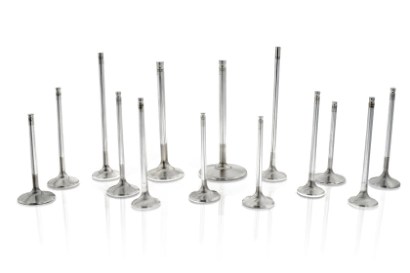 Ferrea BMW S55 28mm 5.96mm 112.83mm 21 Deg Taper-Flo STD - F2428P-1